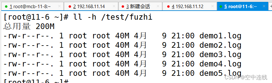 分布式文件系统