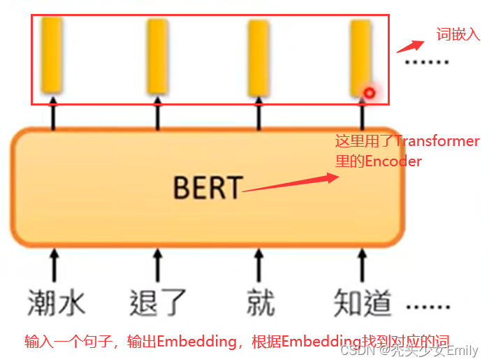 【李沐<span style='color:red;'>精读</span>系列】<span style='color:red;'>BERT</span><span style='color:red;'>精读</span>