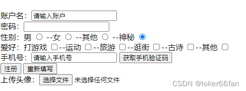 表单显示效果