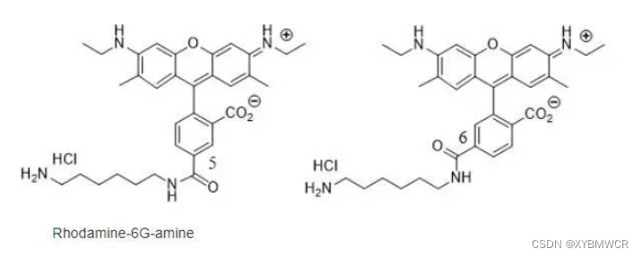 6-Rhodamine 6G NH2，氨基罗丹明6G，具有高荧光性质的罗丹明家族染料之一