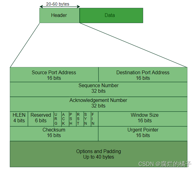 (图片来源于：https://www.geeksforgeeks.org/services-and-segment-structure-in-tcp/)