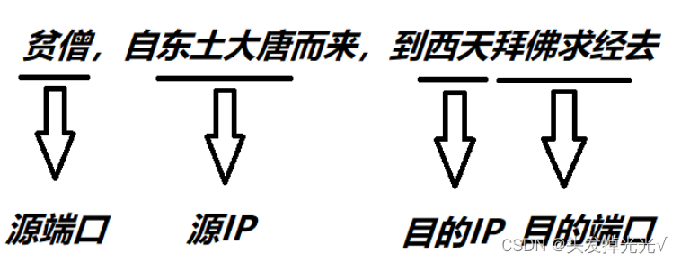 UDP 的报文结构和注意事项