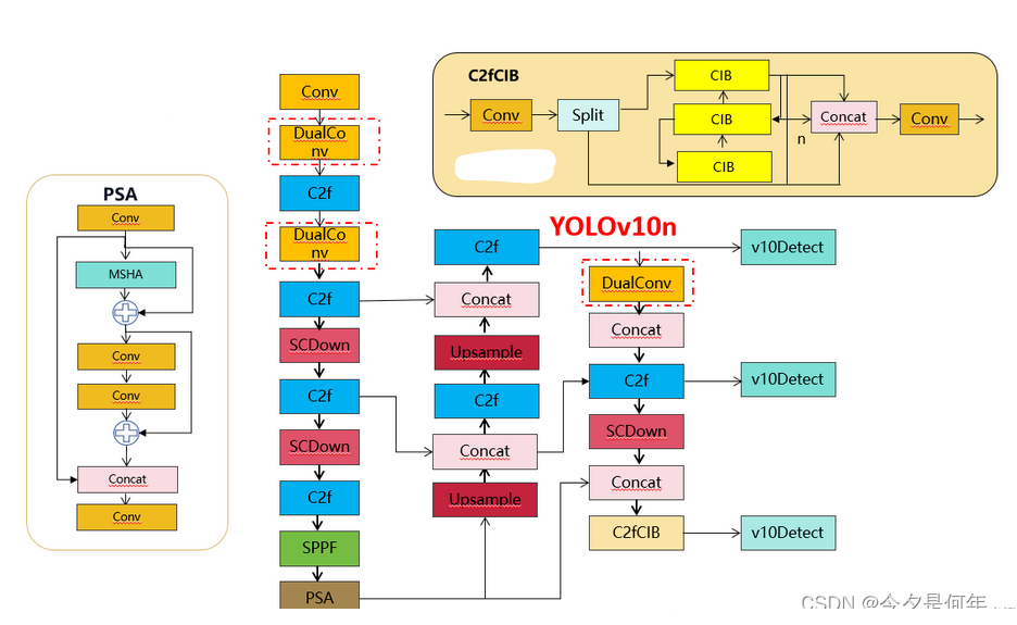 YOLOv10涨点改进轻量化双卷积DualConv，完成涨点且计算量和参数量显著下降