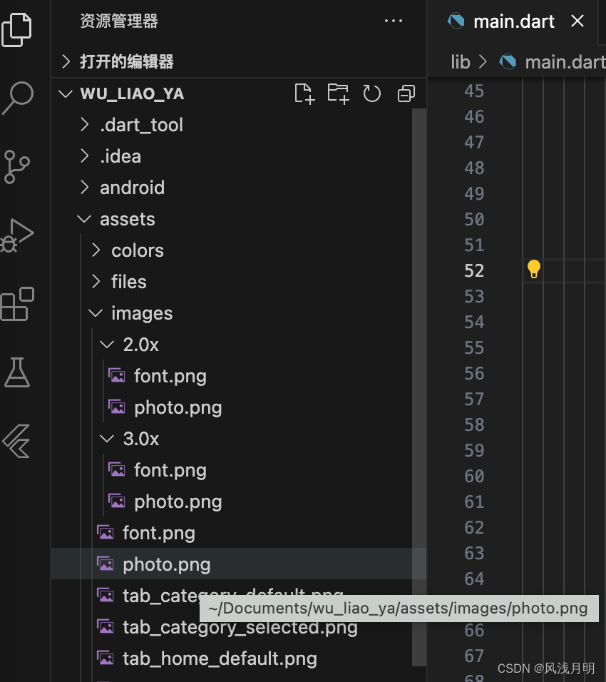 Flutter<span style='color:red;'>使用</span>flutter_gen<span style='color:red;'>管理</span><span style='color:red;'>资源</span><span style='color:red;'>文件</span>