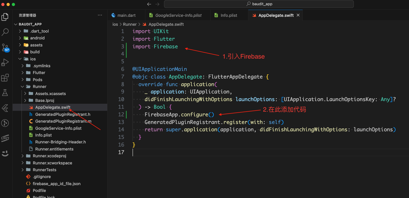 flutter ios <span style='color:red;'>Firebase</span> 消息通知错误 I-COR000005，I-<span style='color:red;'>FCM</span>001000 解决