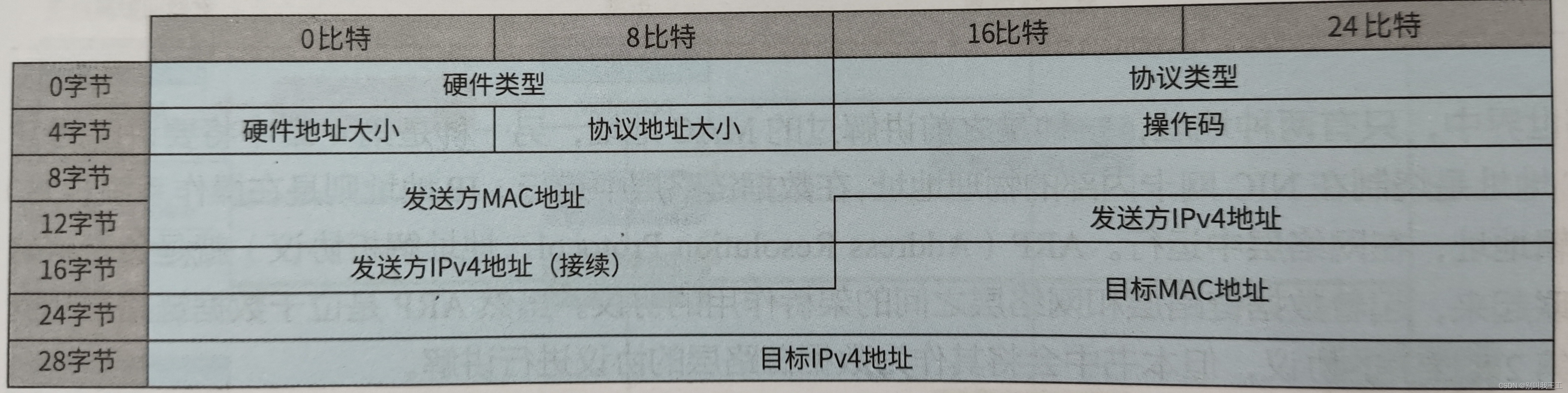 【计算机网络】ARP最全详解