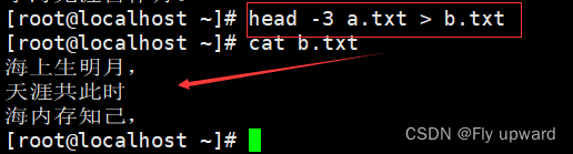 Linux中的<span style='color:red;'>输入</span><span style='color:red;'>输出</span><span style='color:red;'>重</span><span style='color:red;'>定向</span>