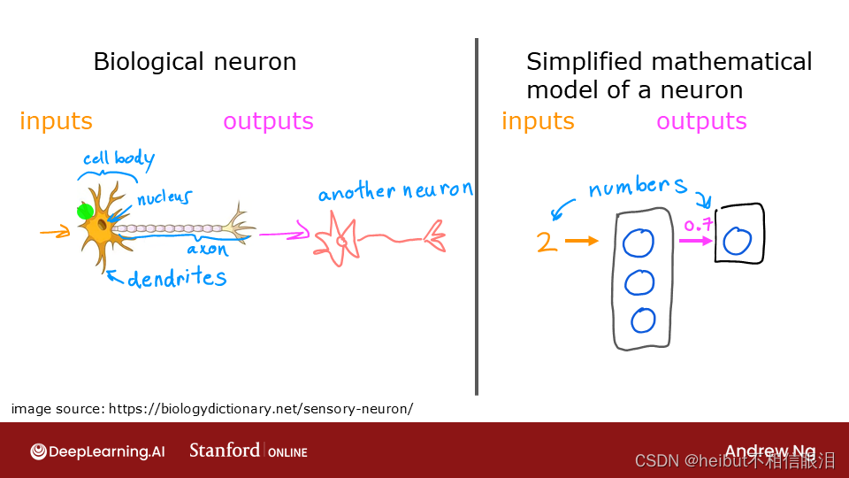 吴恩达机器学习-可选实验室：神经元和层（<span style='color:red;'>Neurons</span> and Layers）