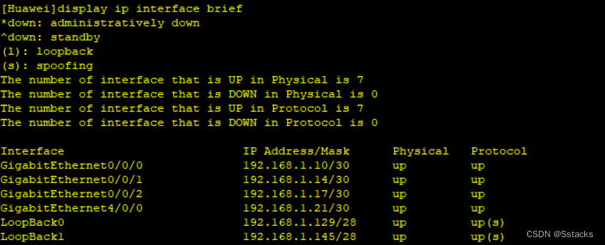 display ip interface