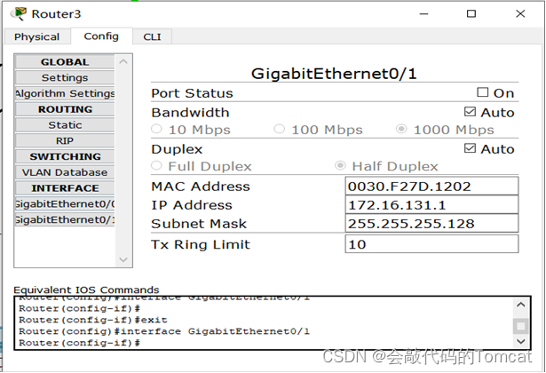 计算机网络综合组网实验