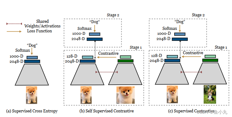 Supervised Contrastive 损失函数详解