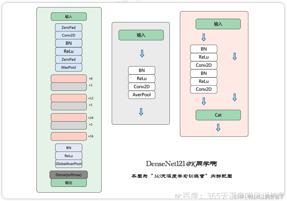 DenseNet结构图