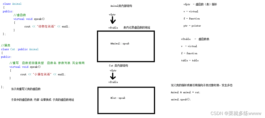 C++特性三：多态的基本语法及原理剖析