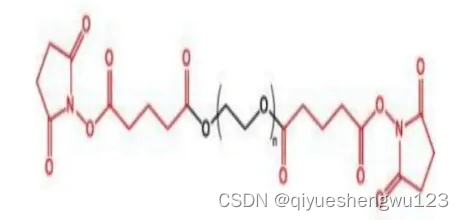 sgpegsg琥珀酰亞胺戊二酸酯peg琥珀酰亞胺戊二酸酯