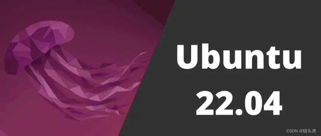 猫头虎分享ubuntu20.04下VSCode无法输入中文解决方法