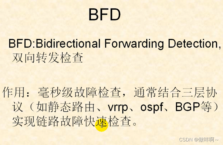 25.BFD双向转发检查