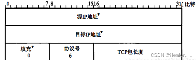 伪头部校验