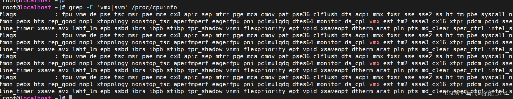 Linux <span style='color:red;'>虚拟</span><span style='color:red;'>化</span>