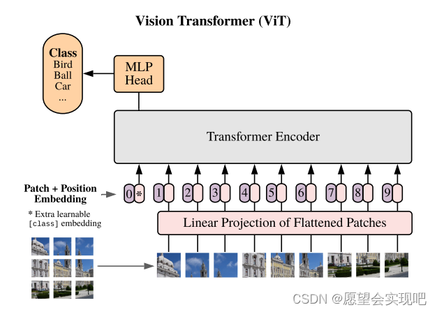 |从零搭建网络| VisionTransformer网络详解及搭建