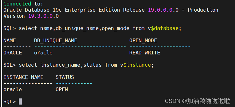 静默快速安装oracle 19c