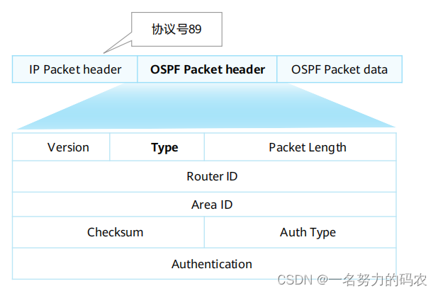 关于<span style='color:red;'>OSPF</span>报文<span style='color:red;'>学习</span>