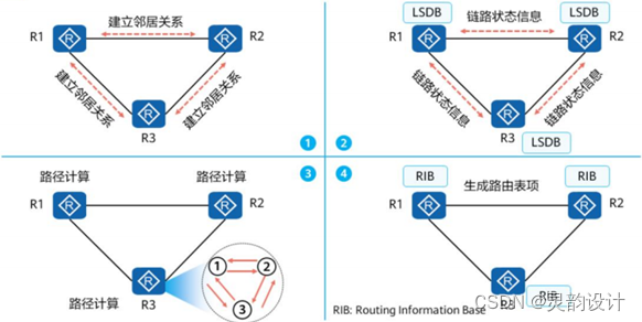  学习笔记——动态路由——OSPF（工作原理）