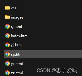 HTML静态网页成品作业(HTML+CSS)—— 名人霍金介绍网页(6个页面)