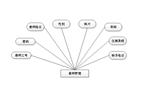 教师管理实体属性图