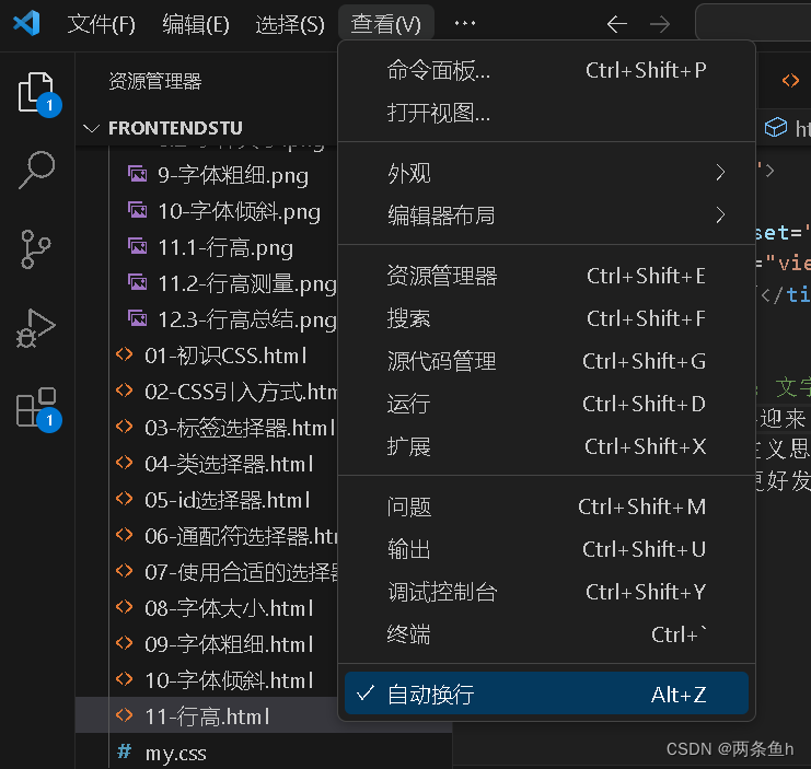 stu06-VSCode里的常用快捷键