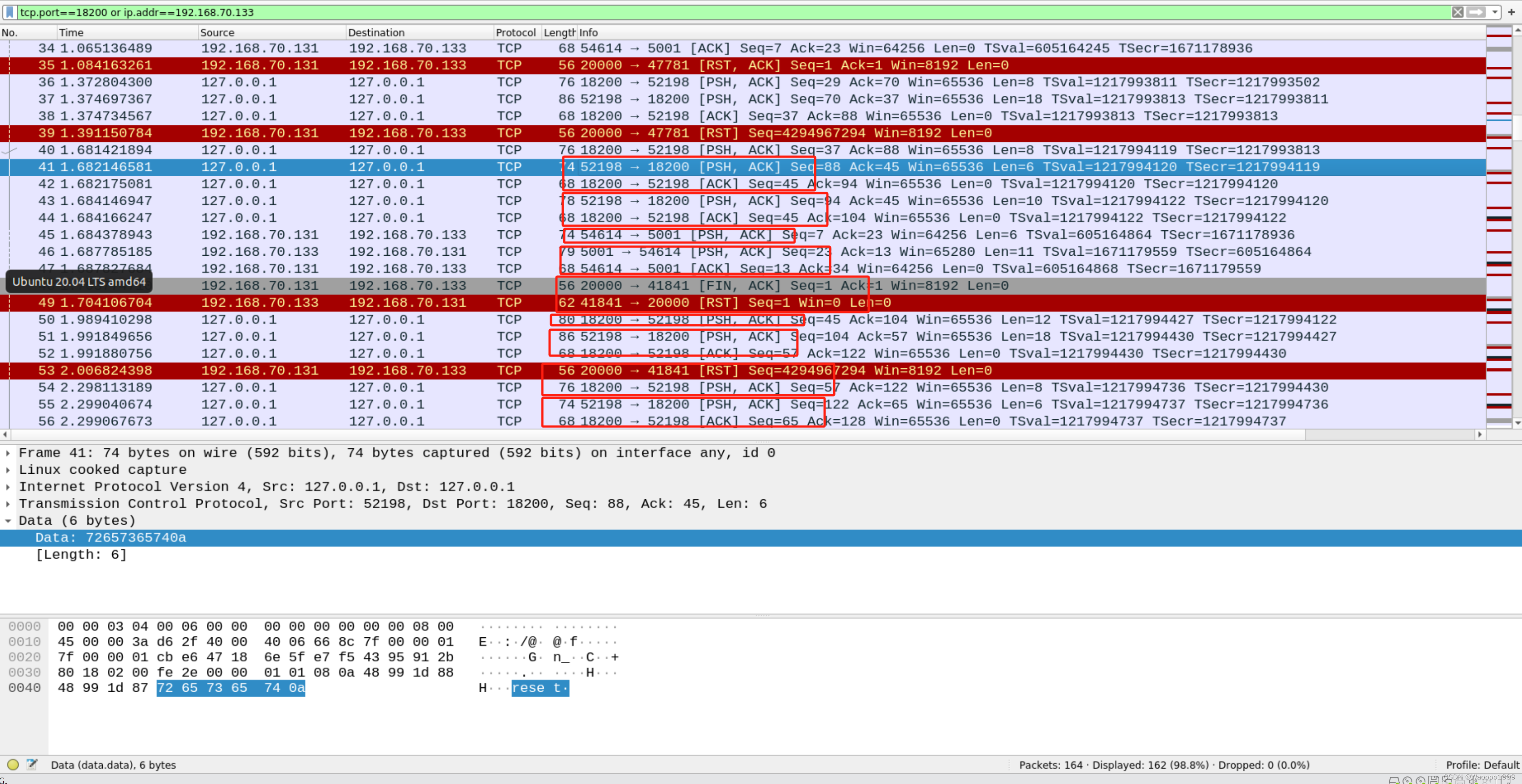 tcp-learner 数据包分析 20240420