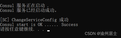 启动consul