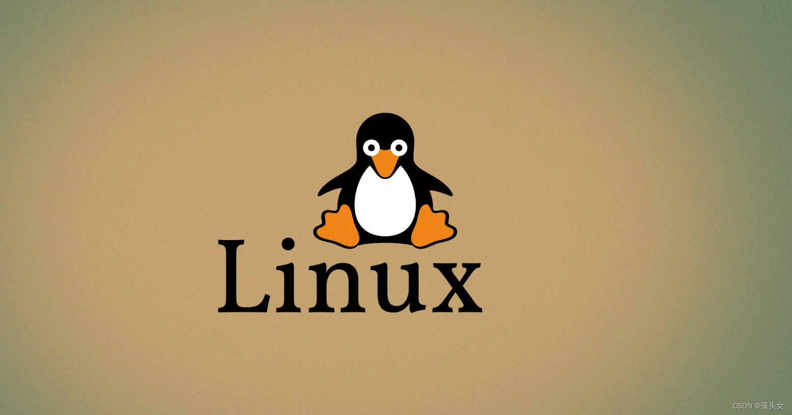 linux文件查找