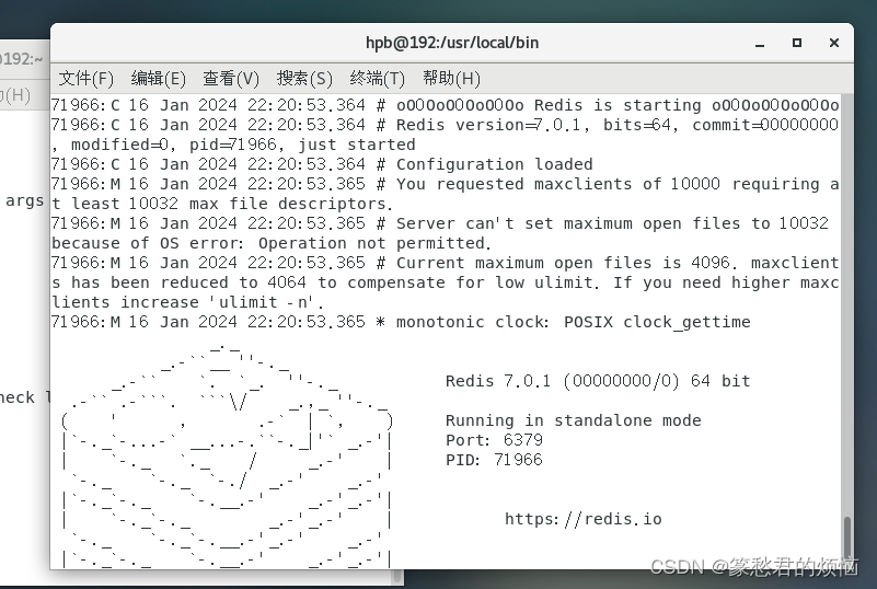 SpringBoot项目中简单使用虚拟机Redis