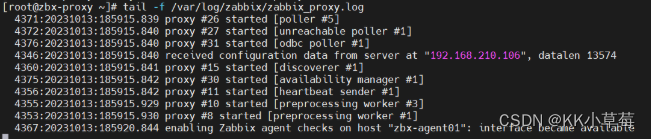 Zabbix 6.0部署+自定义监控项+自动发现与自动注册+部署zabbix代理服务器