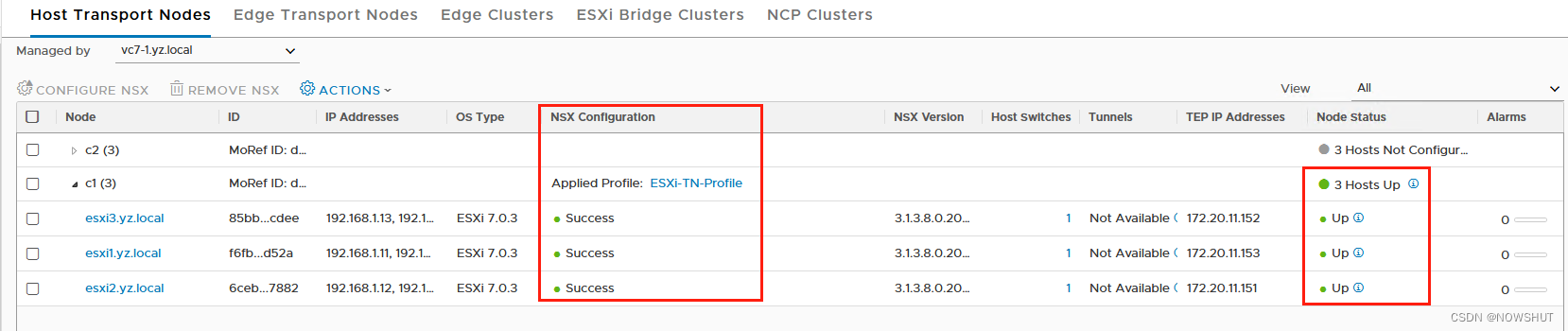 【NSX-T】5. 搭建NSX-T环境 —— NSX架构基础配置