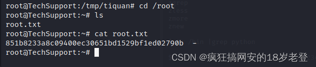 Vulnhub-TECH_SUPP0RT: 1渗透