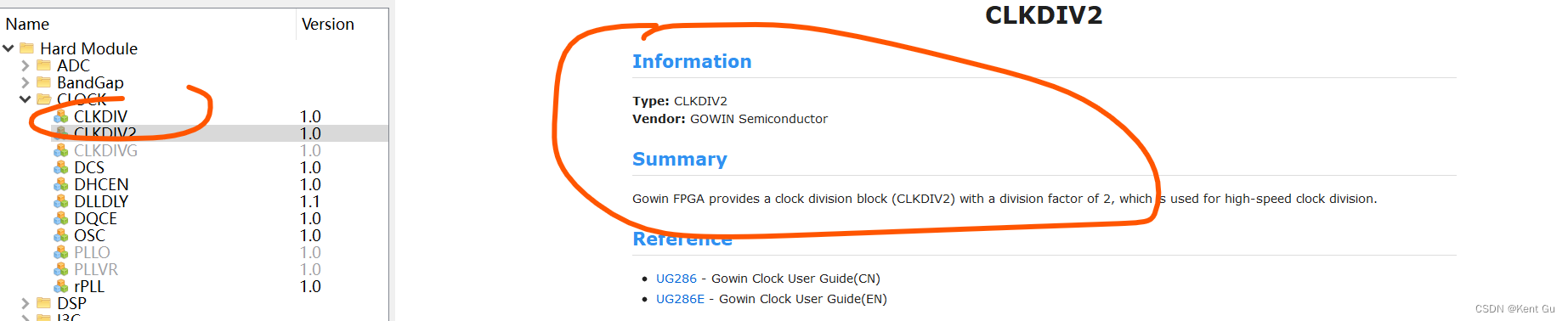 GoWin FPGA--- startup2