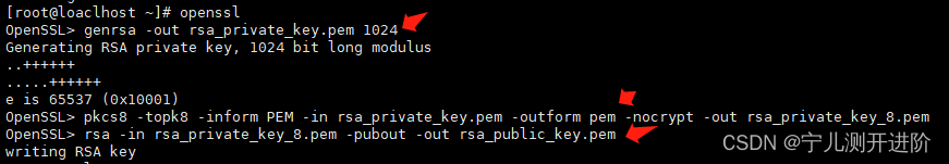 Python(30)：<span style='color:red;'>非</span>对称加密算法RSA的使用(openssl生成RSA<span style='color:red;'>公私</span>钥对)