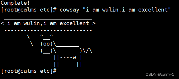 Linux搭建局域网私有yum仓库/配置本地光盘镜像仓库/搭建公有yum仓库--7700字详谈