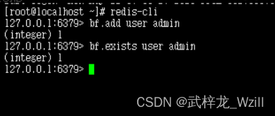 Redis-布隆过滤器解决穿透详解