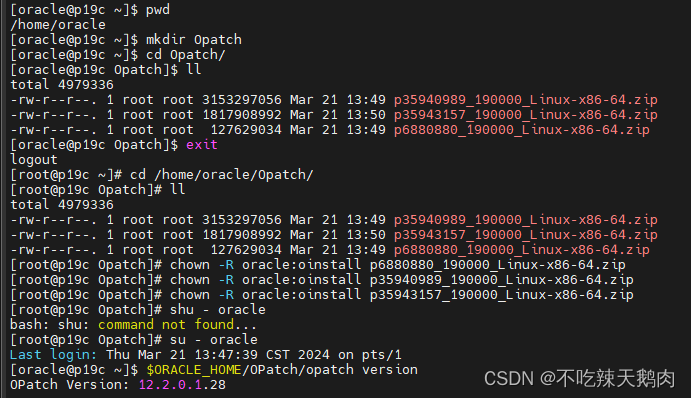 oracle19c单实例补丁升级和回退
