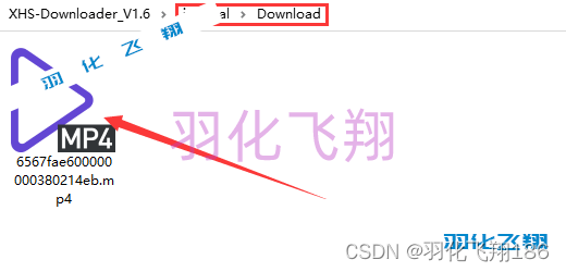 XHS-Downloader v1.6软件安装教程(附软件下载地址)_1_示意图