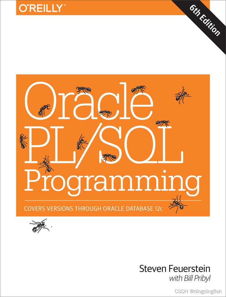 开始读 Oracle PL/SQL Programming 第6版