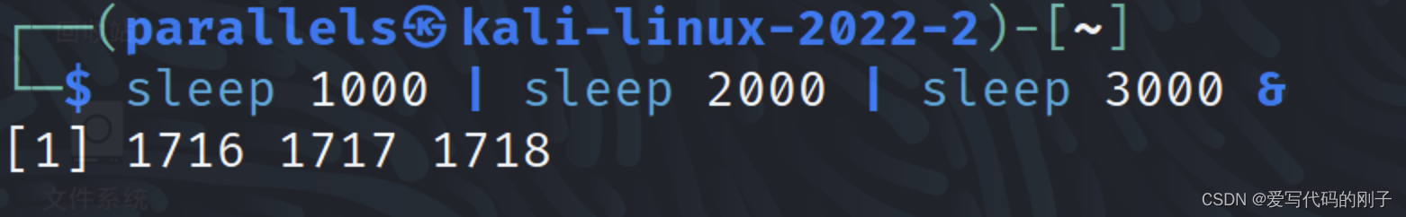 【Linux进程】守护进程