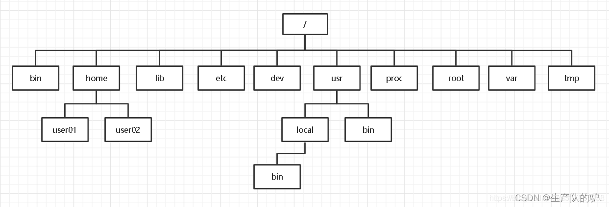 Linux 目录结构与基础查看命令