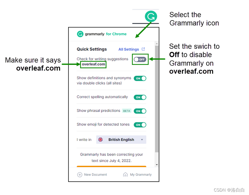 How to use Grammarly with Overleaf
