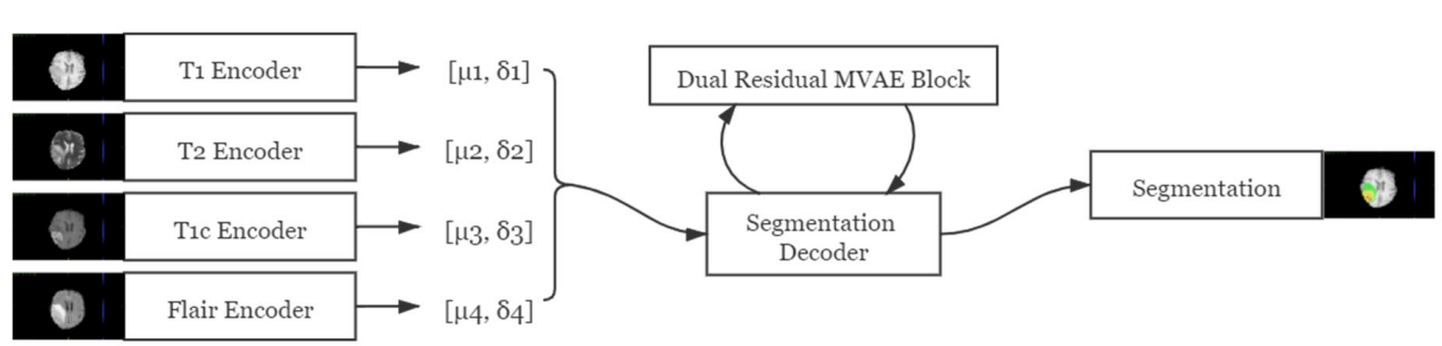 DRM-VAE