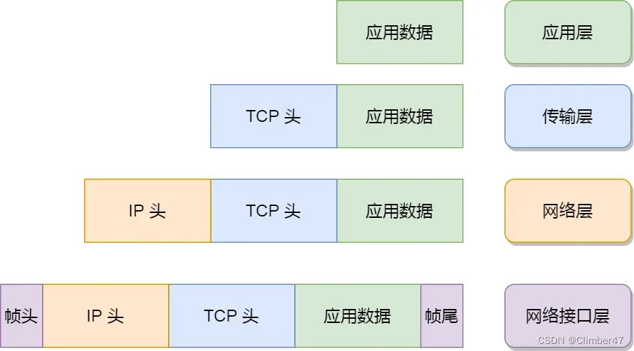 计算机网络面试八股复习：常见的7/5/4层网络模型、各层协议以及键入网址到显示页面的流程