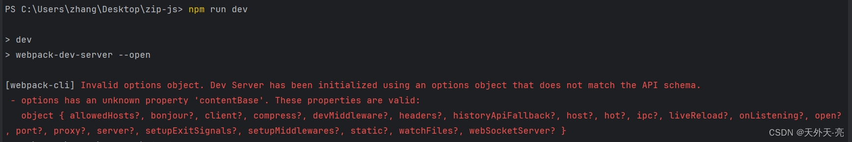 [webpack-cli] Invalid options object 报错